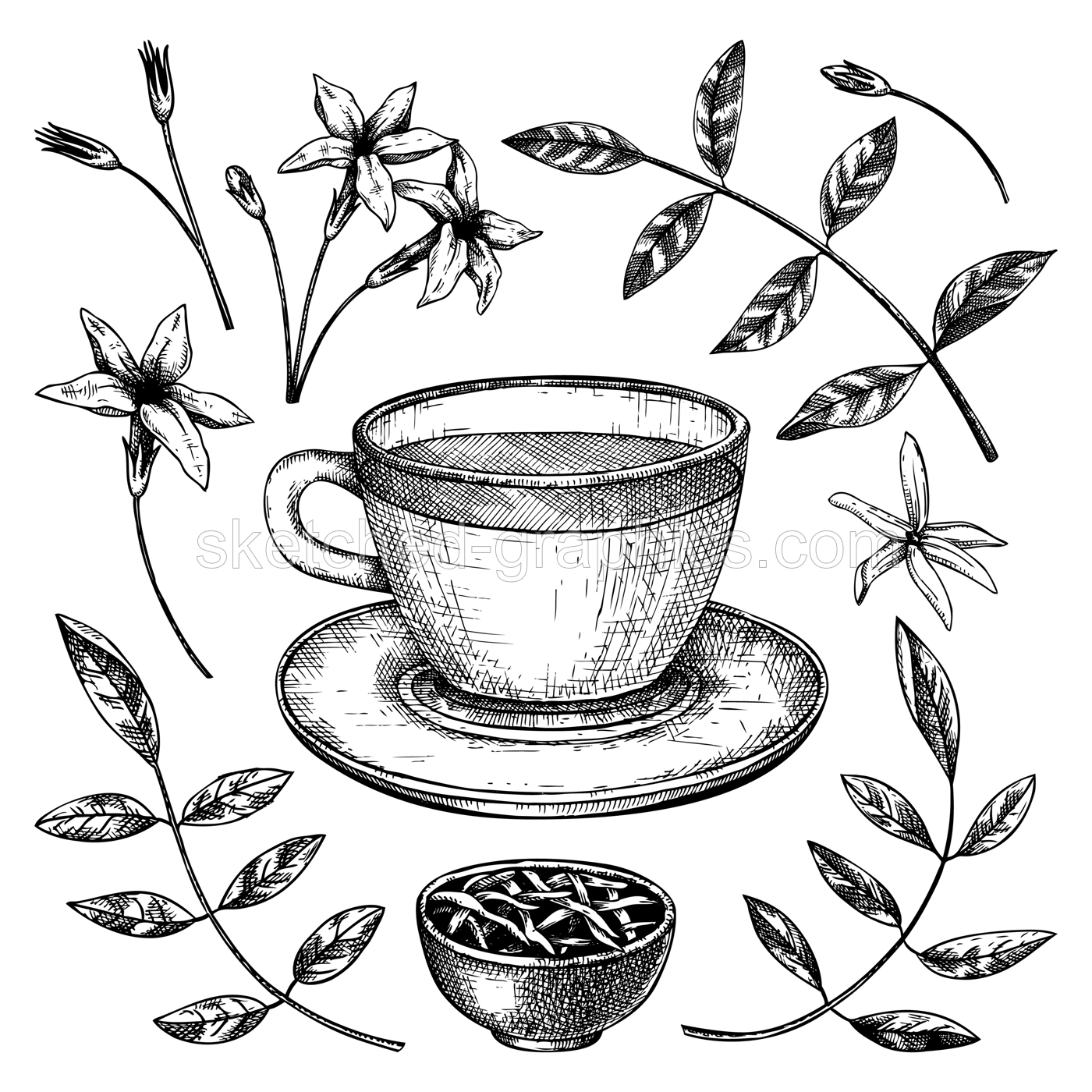 Hand-sketched jasmine tea in a glass mug illustrations. Vector sketch of hot drink in an elegant cup, dried leaves, jasmine blossom. Green Tea drawing for menu design on white Illustration